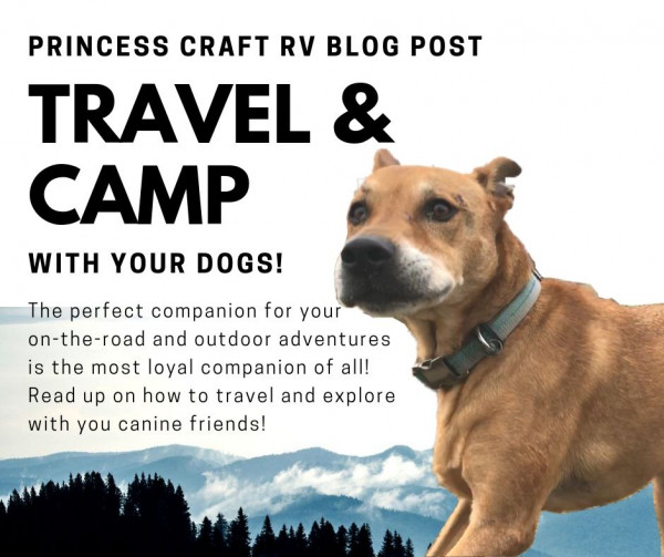 Princess Craft RV Blog Post Dogs